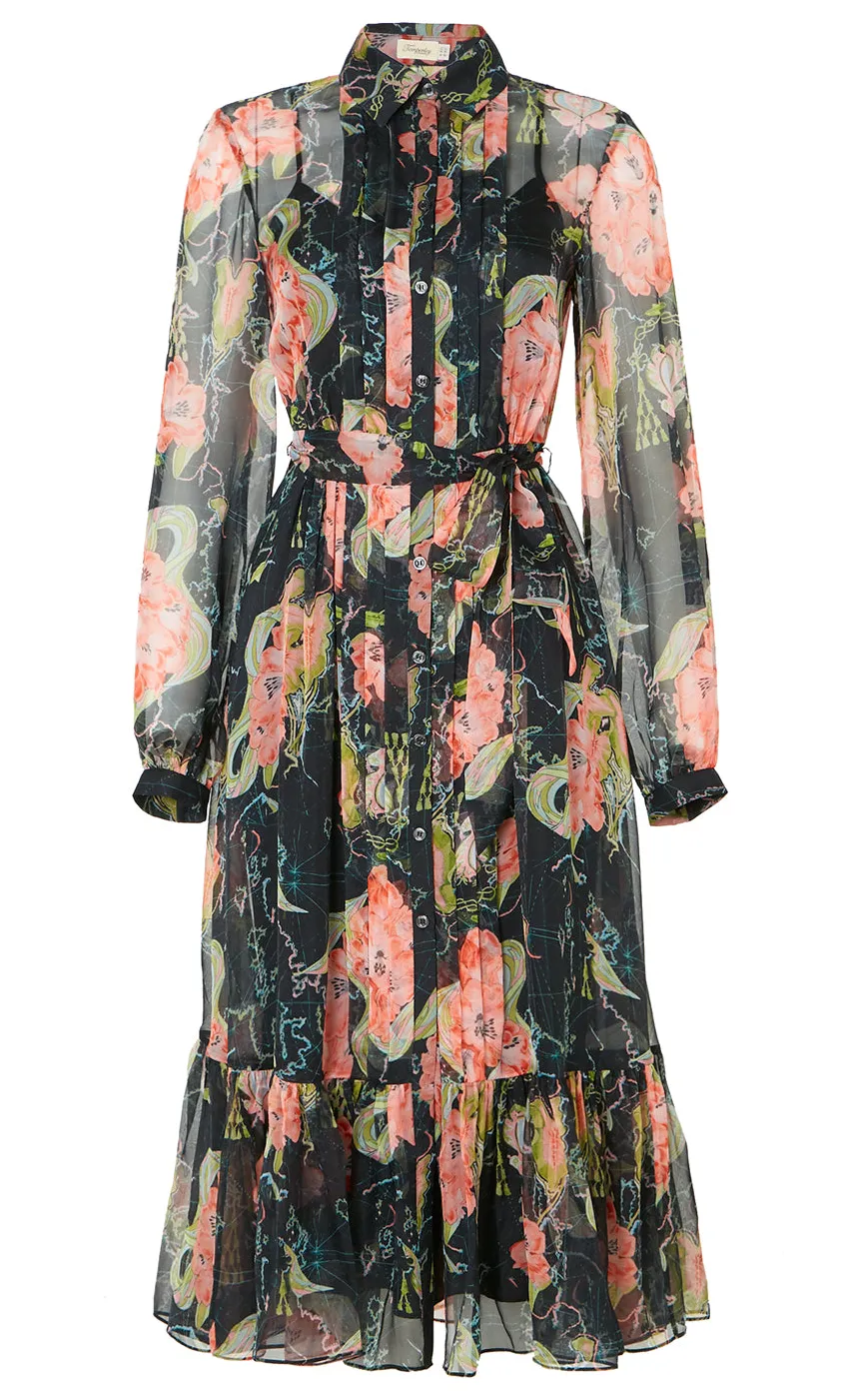 Temperley London Yolande Print Shirt Dress<Women Dresses & Jumpsuits